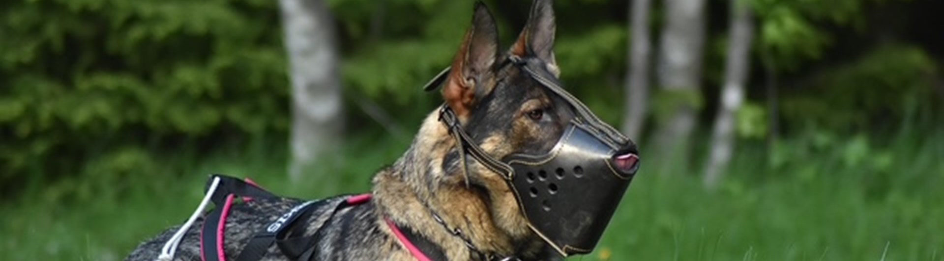 Korgbevakning liggande. Memorix Undra