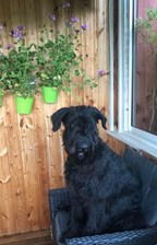 Anna Sjölund Specialsök