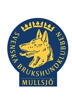 Styrelsen Mullsjö BK