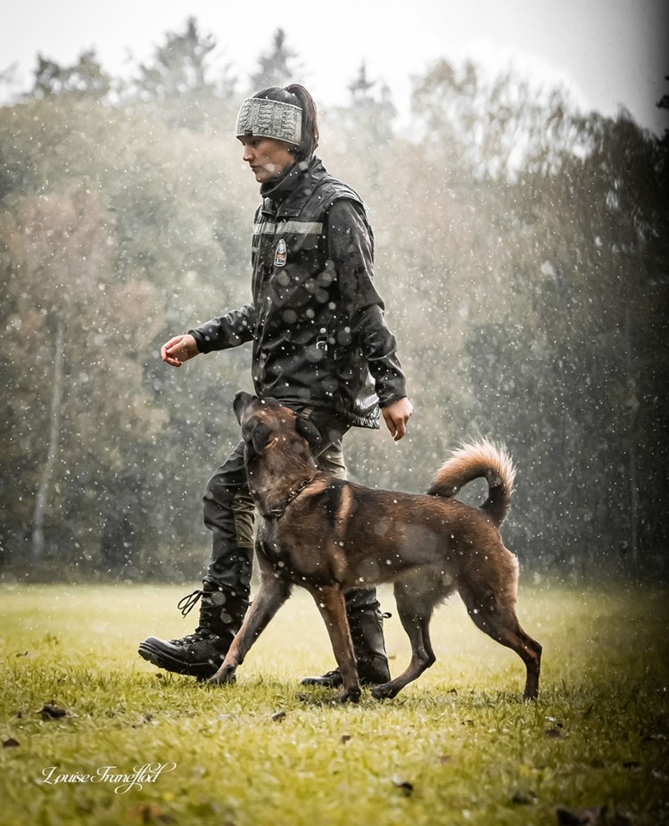 Ett ekipage, förare och malle, som går fot i regnet