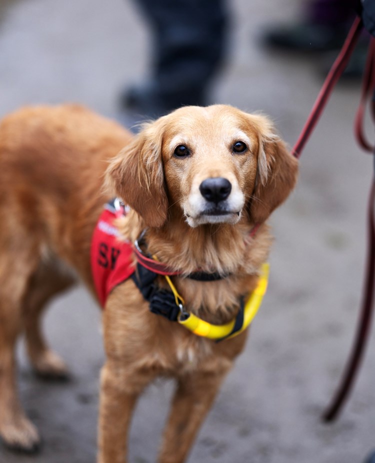 Foto: Nils Petter Nilsson