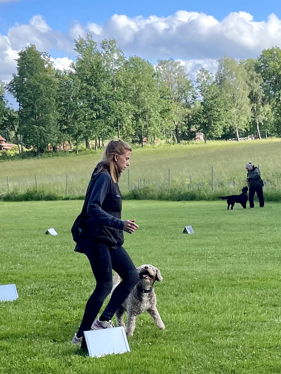 Öppen träning i rallylydnad, på Alingsås brukshundklubb.
