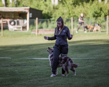 KM vinnare 2024 i Freestyle och HTM: Jenny Åström & Trubbel