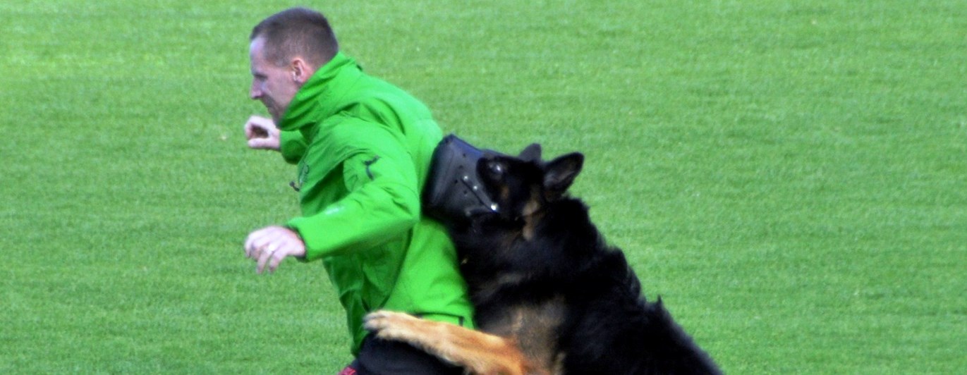 Schäfer i munkorg stöter figurant i rygg