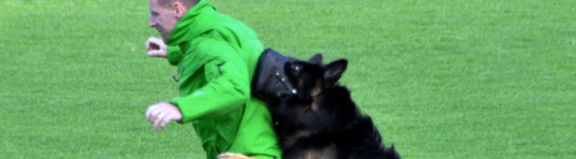 Schäfer i munkorg stöter figurant i rygg