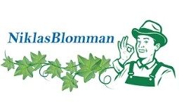 sponsorbild Niklasblomman