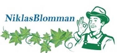 sponsorbild Niklasblomman