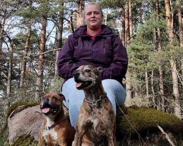 Ägare med sina två hundar sittandes i skogen. Staffordshire bullterrier och blandras