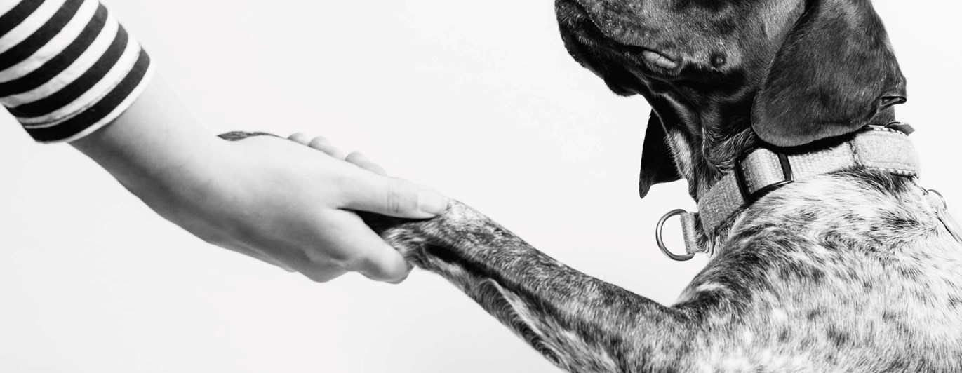 Foto: Fabian Gieske - Unsplash