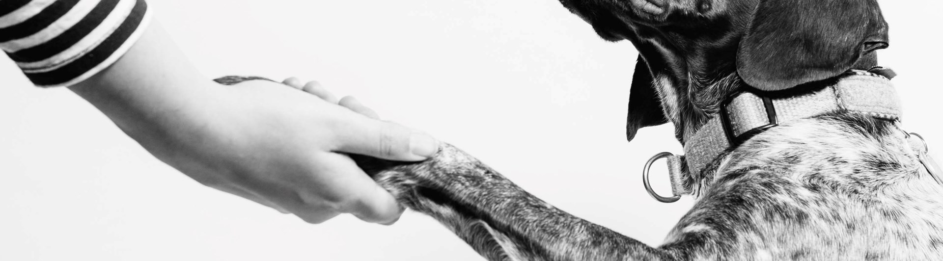 Foto: Fabian Gieske - Unsplash