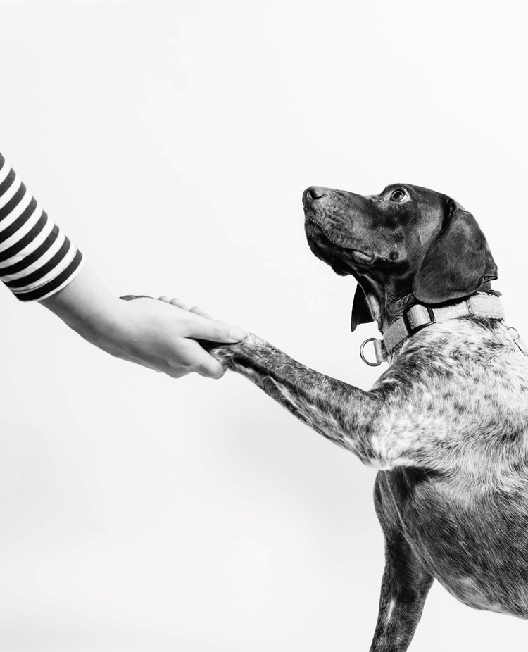 Foto: Fabian Gieske - Unsplash