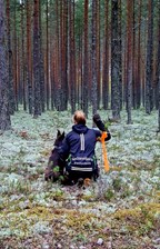 Tjänstehundsektorn (1)