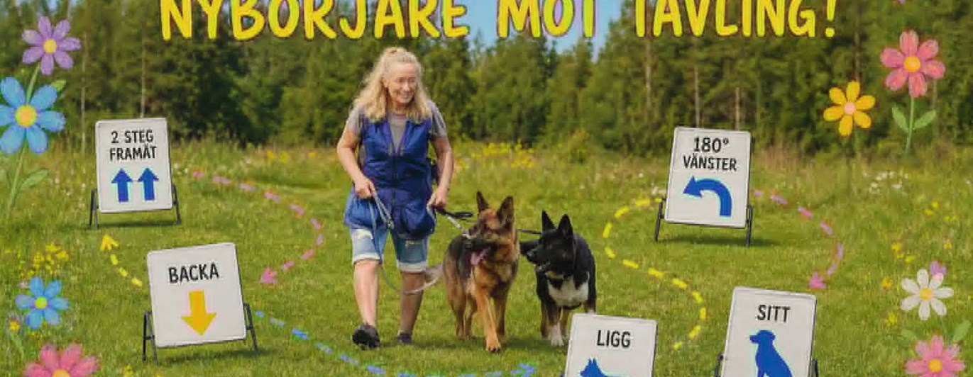 Ai-genererad bild på en person och två hundar som går en rallylydnadsbana.