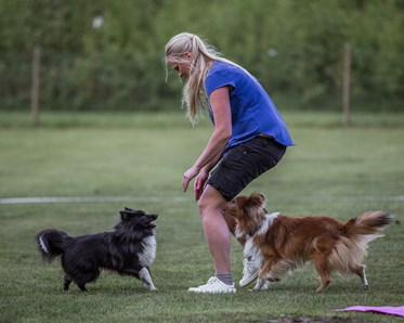 KM vinnare 2024 i Freestyle TTM: Jeanette Helgeroth & Honey & Maxxa