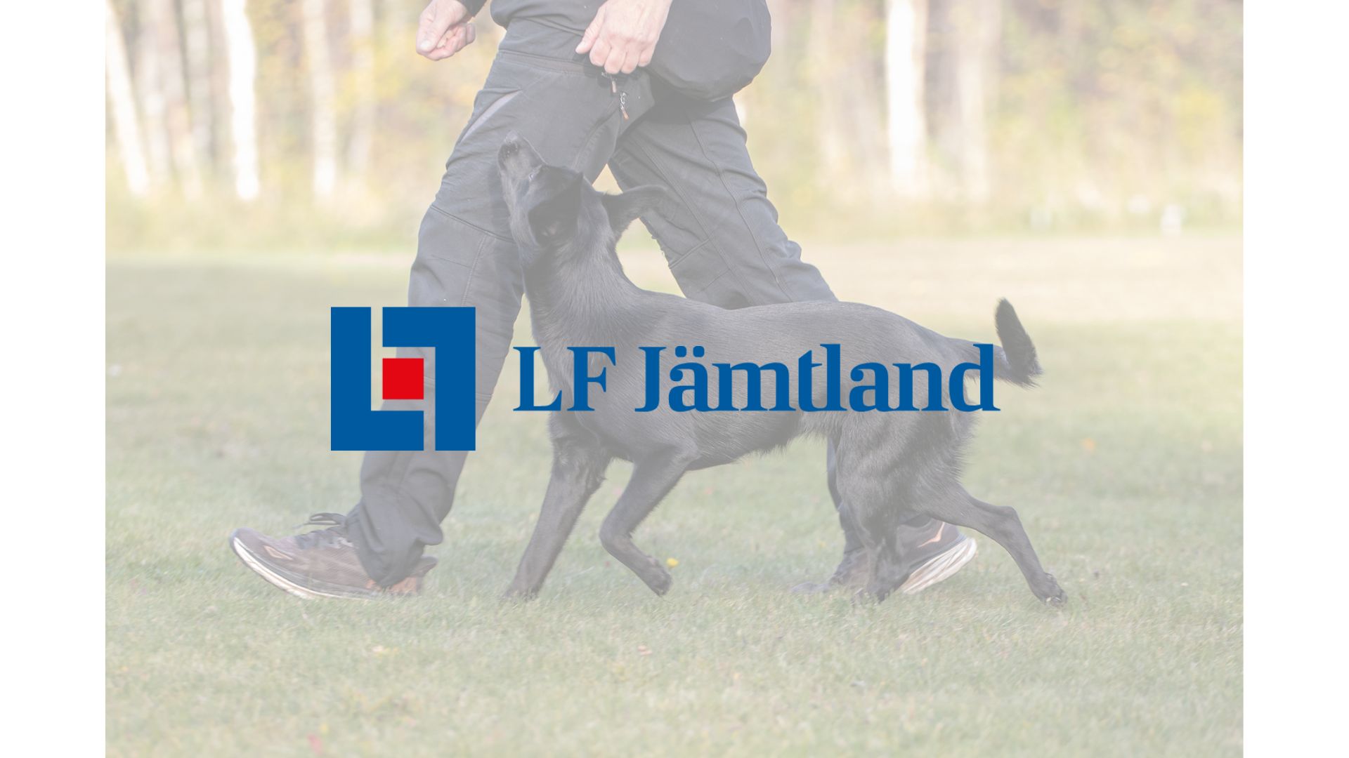 LF Jämtland support