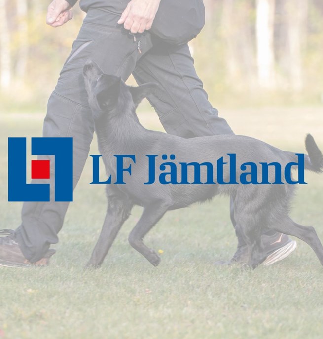 LF Jämtland support