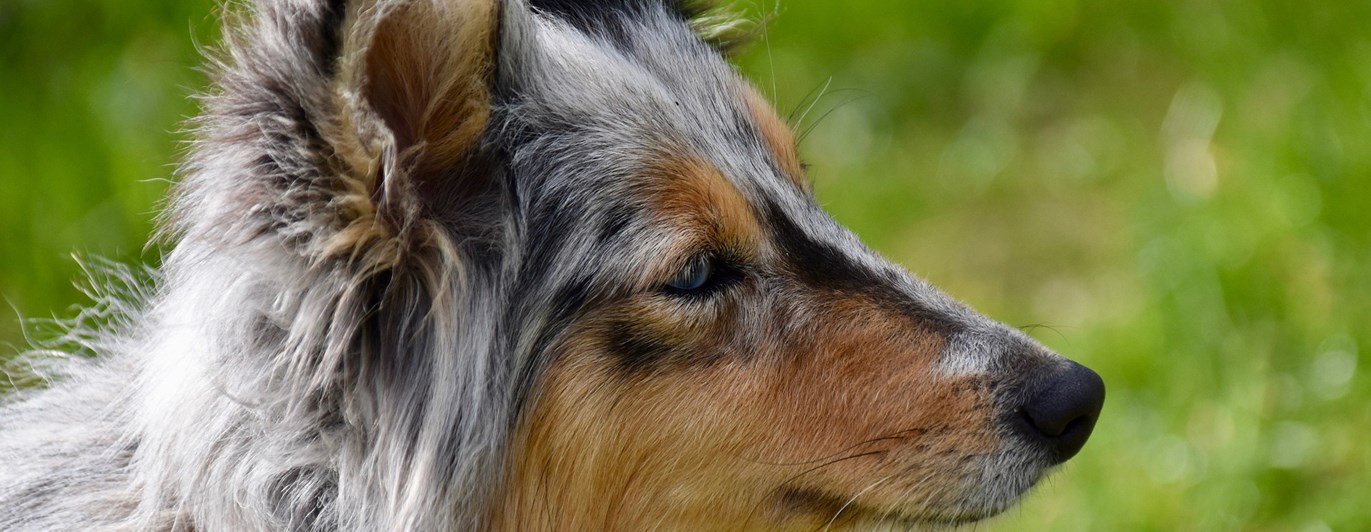 Min profil Membersite