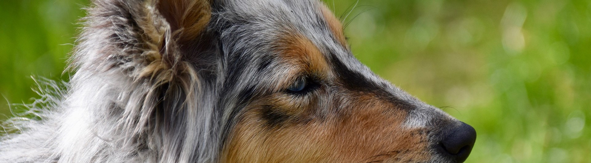 Min profil Membersite