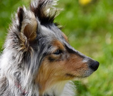 Min profil Membersite