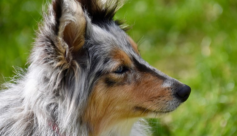 Min profil Membersite