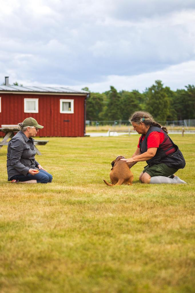 Instruktör tillsammans med hundekipage