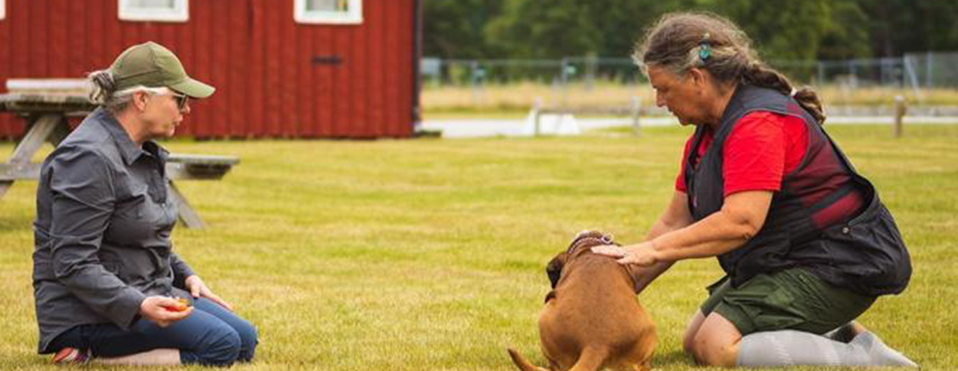 Instruktör tillsammans med hundekipage