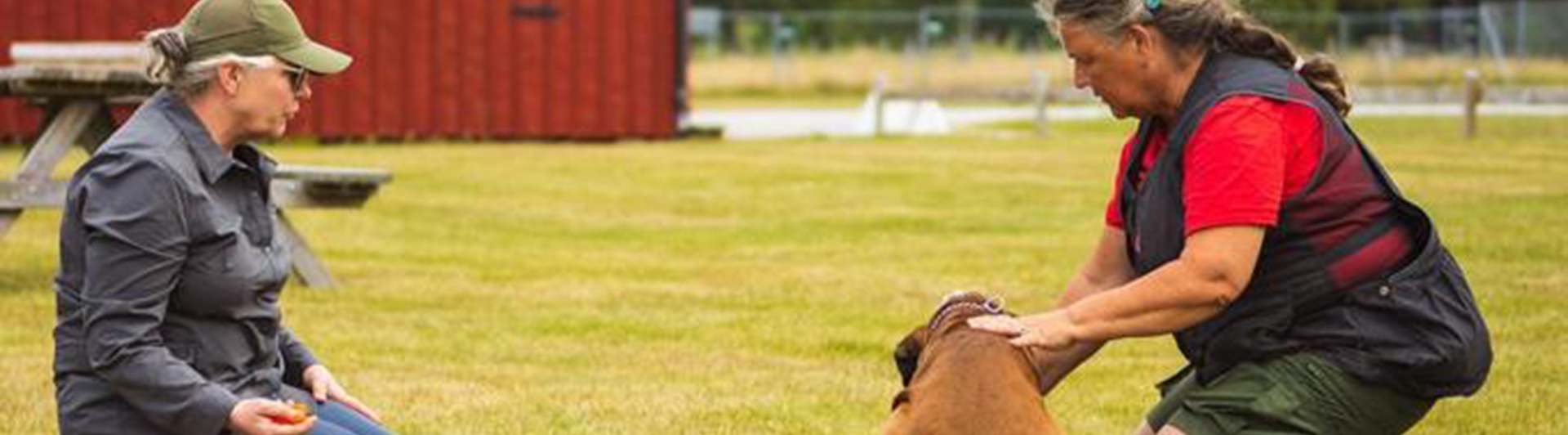 Instruktör tillsammans med hundekipage