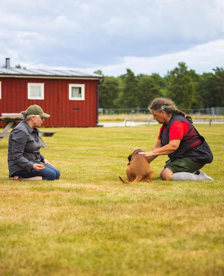 Instruktör tillsammans med hundekipage