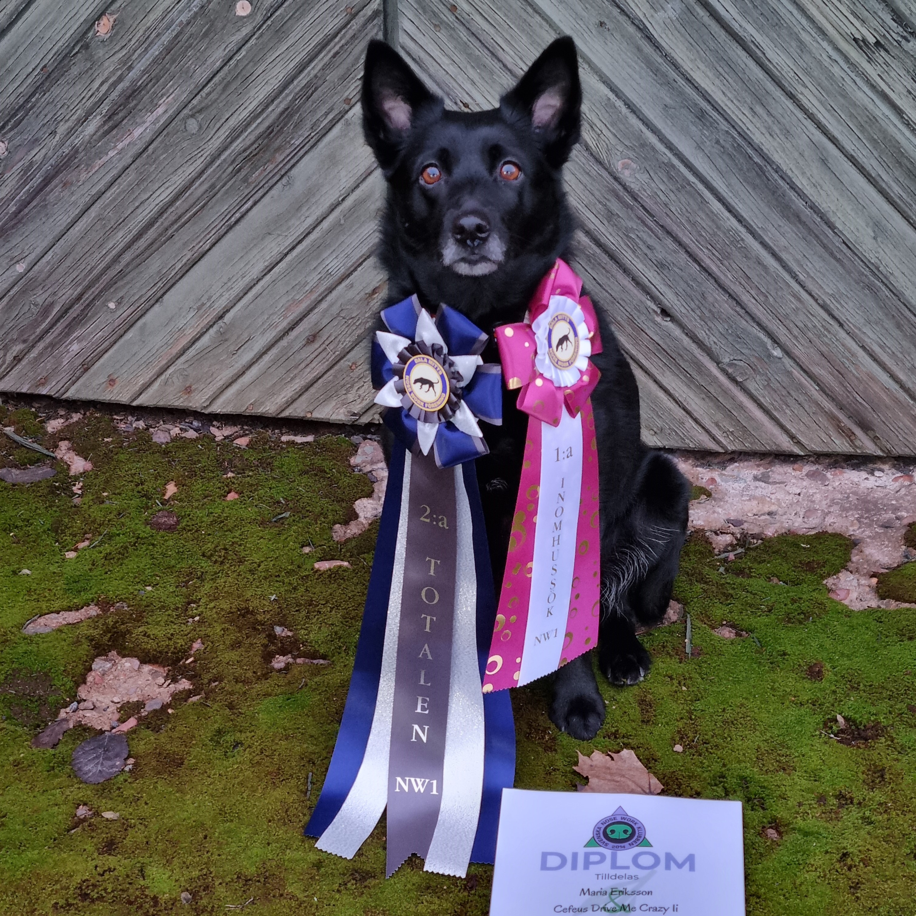 Driva - NW 2024-02-24