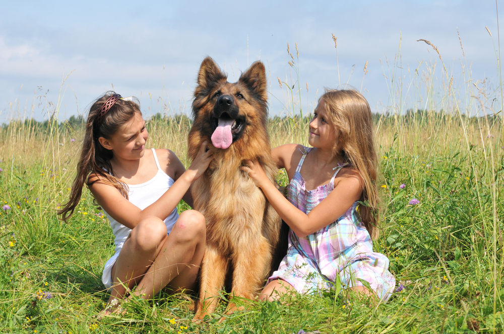 Två barn som sitter på en äng tillsammans med en schäfer