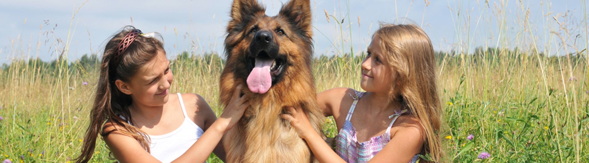 Två barn som sitter på en äng tillsammans med en schäfer