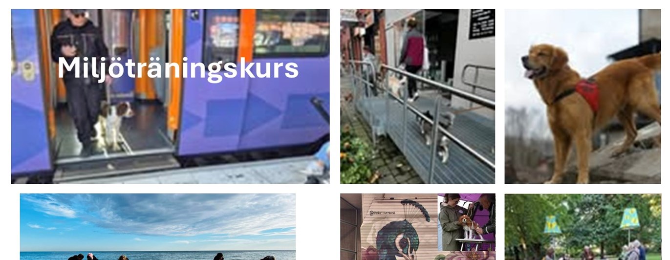 Bild för miljöträningskurs