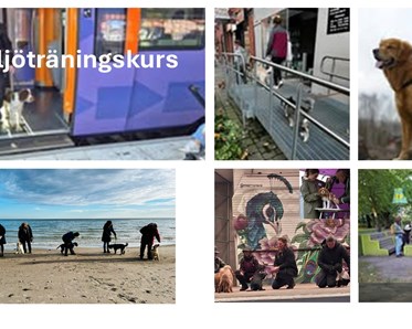 Bild för miljöträningskurs