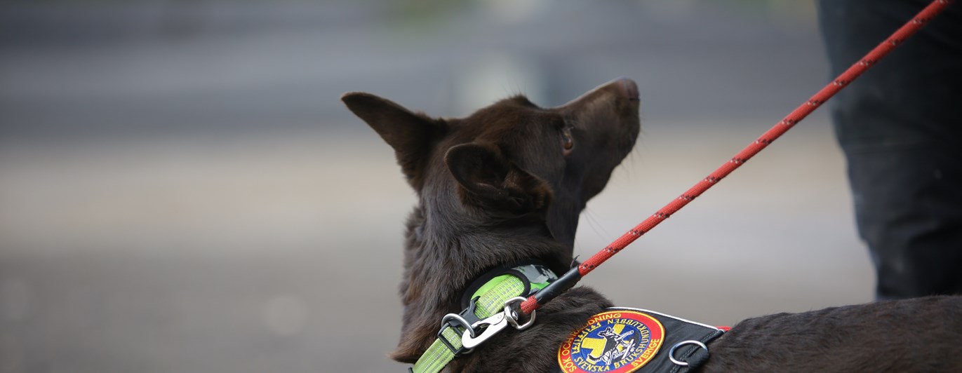 Fotograf: Christian Björses