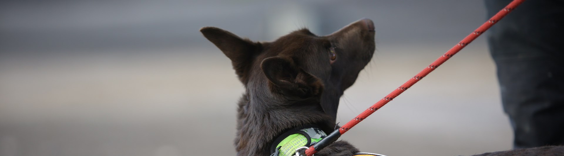 Fotograf: Christian Björses