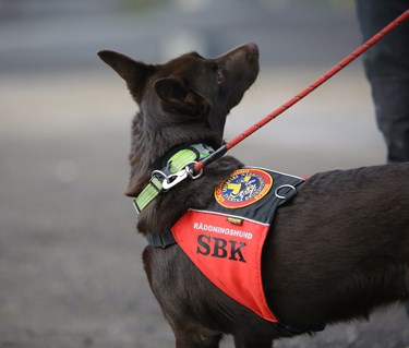 Fotograf: Christian Björses