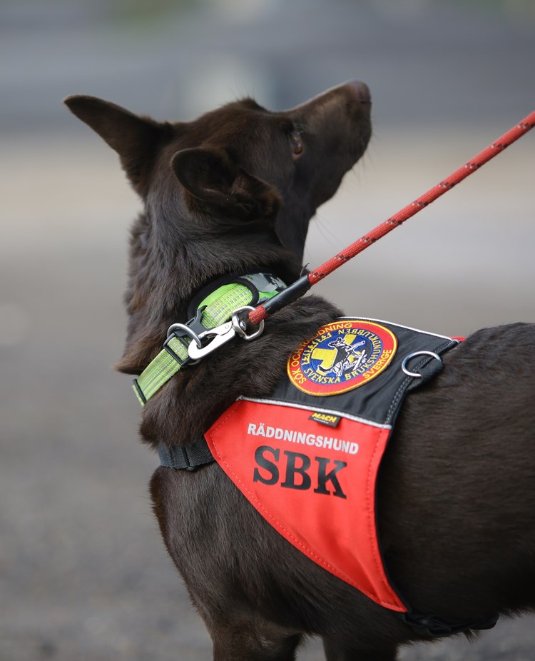 Fotograf: Christian Björses