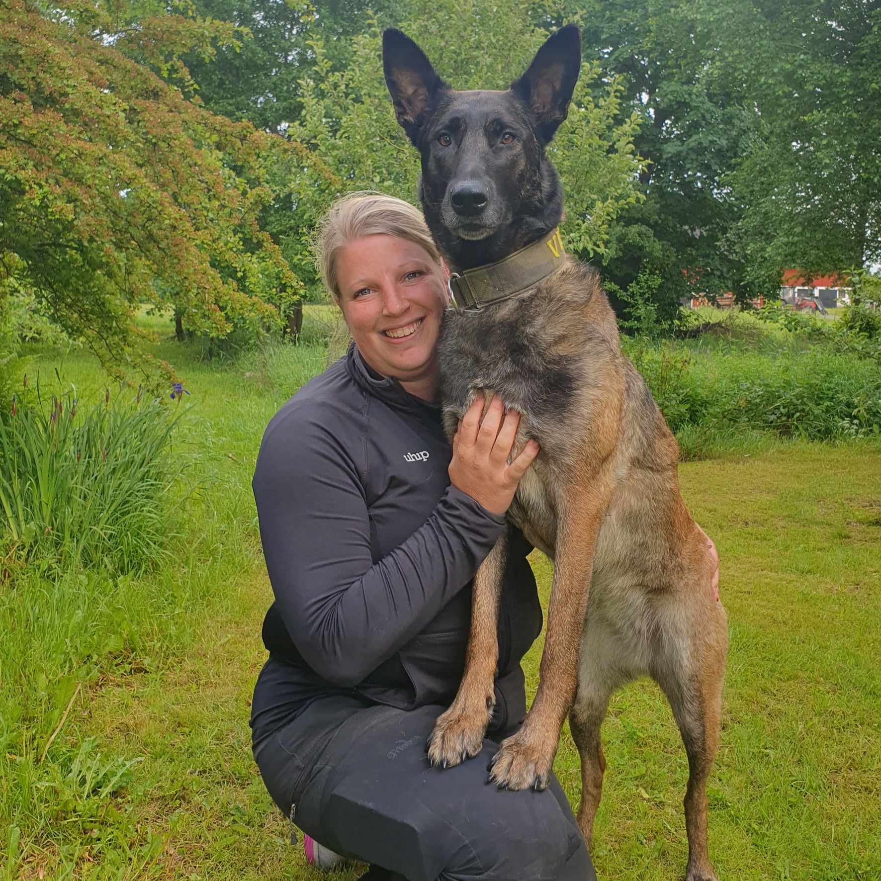 Årets Hund 2024 - Årets Nybörjare Bruks