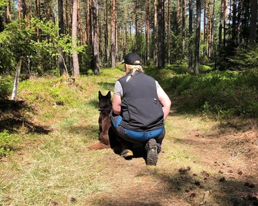 Sittande förare med hund framför