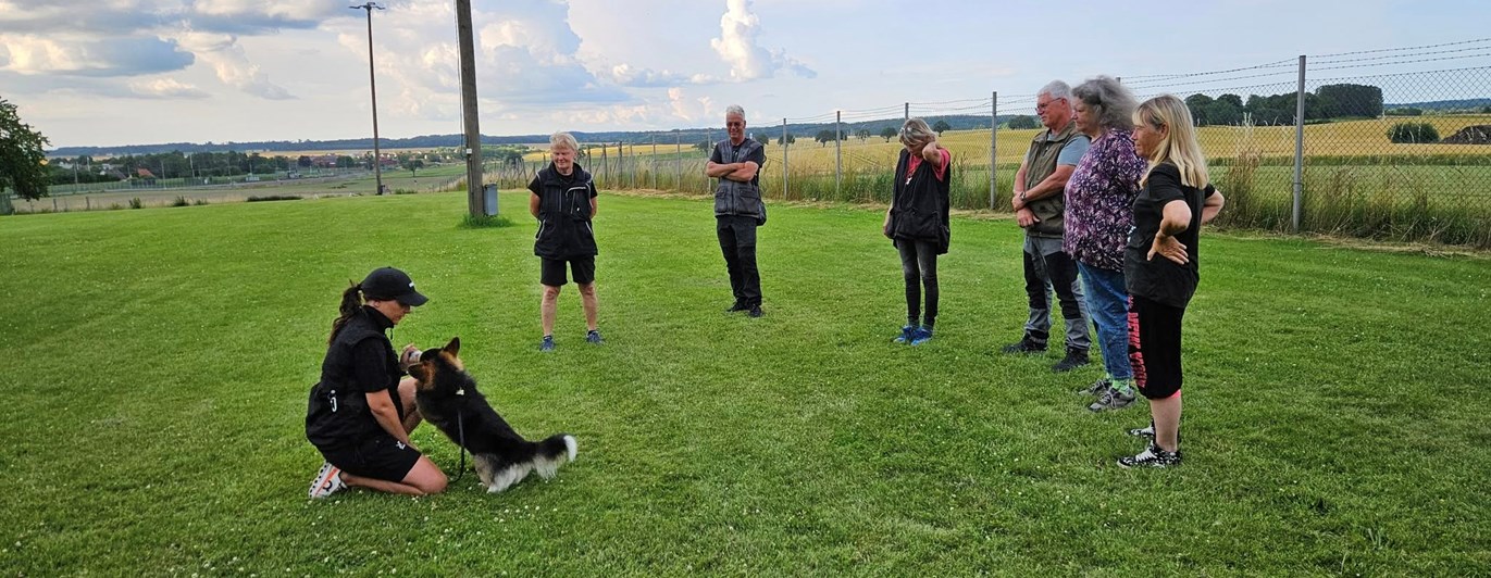 Sex personer står i en halvcirkel om hundförare och liten hund.