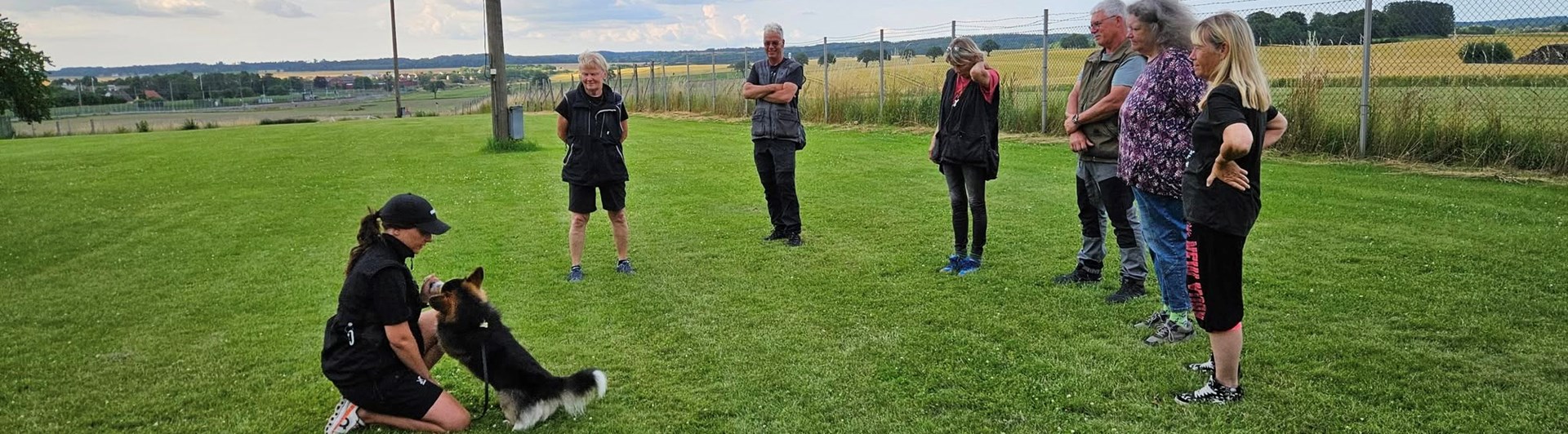 Sex personer står i en halvcirkel om hundförare och liten hund.