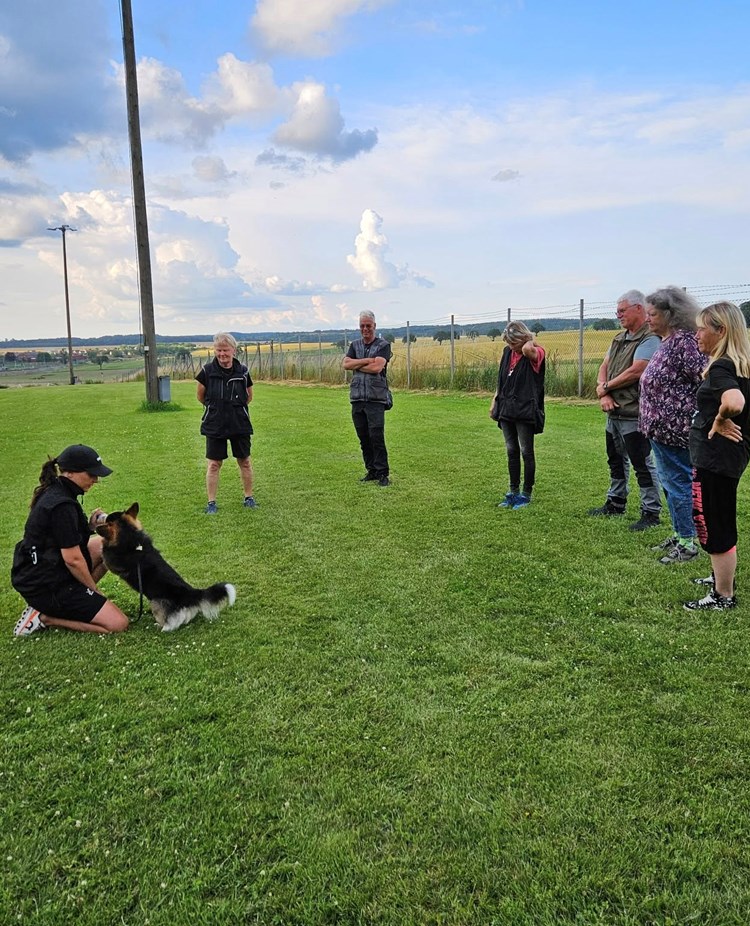 Sex personer står i en halvcirkel om hundförare och liten hund.