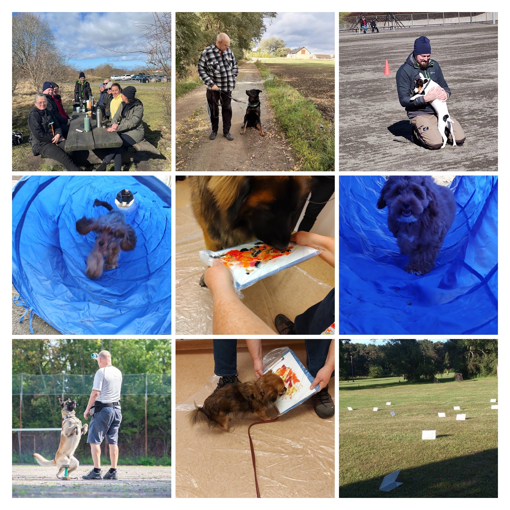 Flera olika aktiviteter