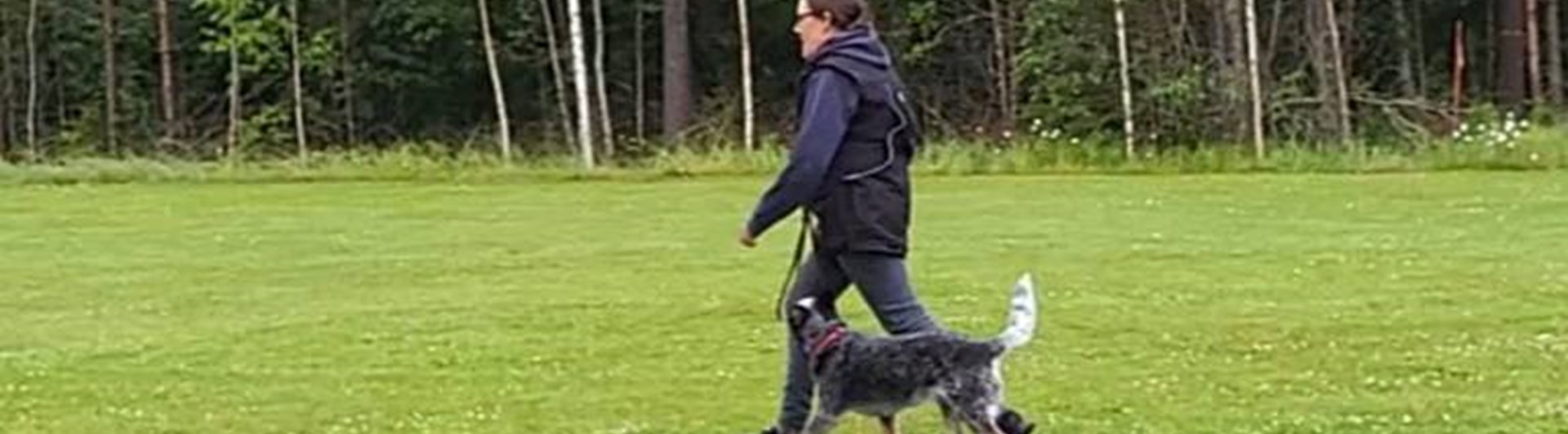 Fotgående med Cattle Dog