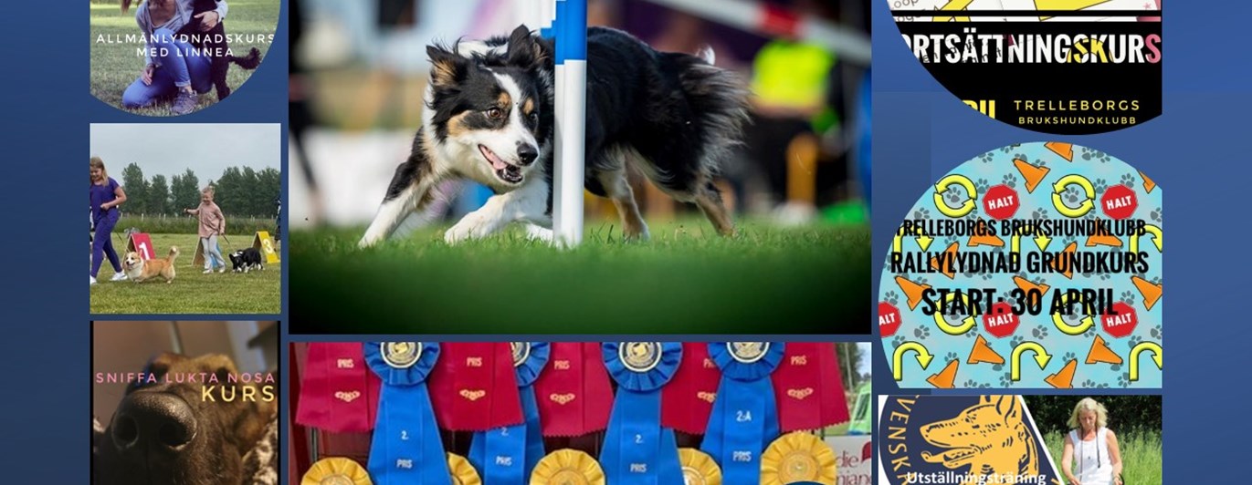 Bild på inbjudningar till kurser på gång