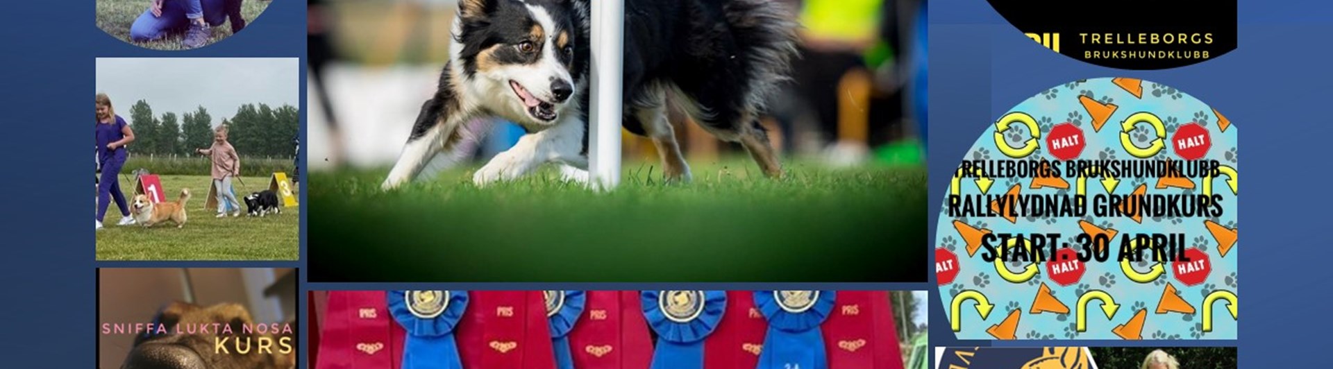 Bild på inbjudningar till kurser på gång