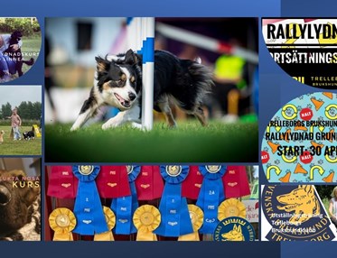 Bild på inbjudningar till kurser på gång