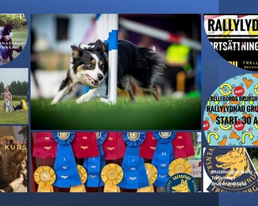 Bild på inbjudningar till kurser på gång