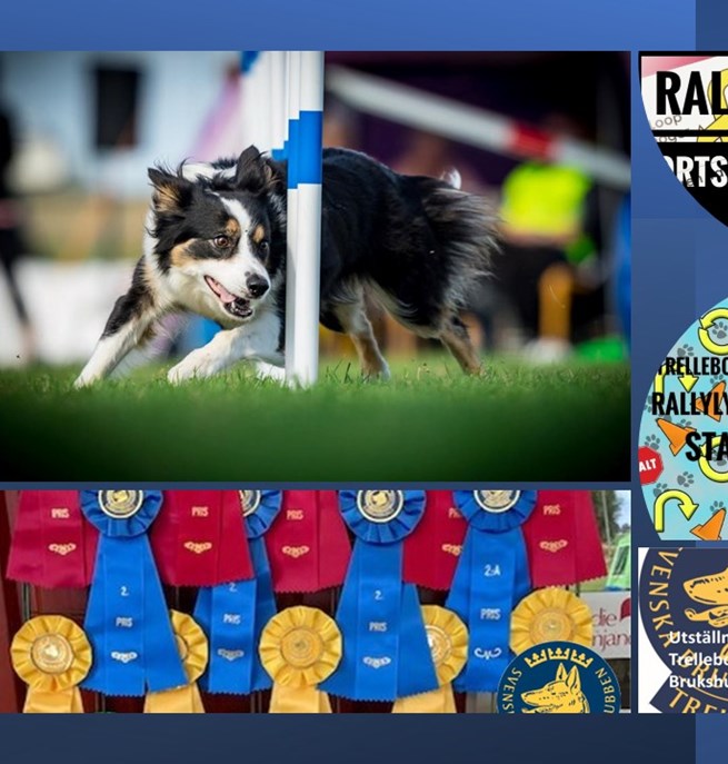 Bild på inbjudningar till kurser på gång