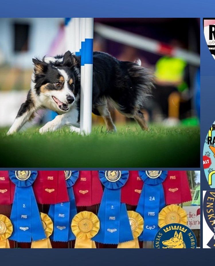 Bild på inbjudningar till kurser på gång